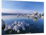 South Tufa, Tufa Towers, Mono Lake, California, USA by Anonymous