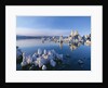 South Tufa, Tufa Towers, Mono Lake, California, USA by Anonymous