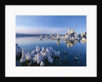 South Tufa, Tufa Towers, Mono Lake, California, USA by Anonymous