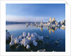 South Tufa, Tufa Towers, Mono Lake, California, USA by Anonymous