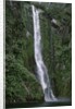 Waterfall on Milford Sound by Anonymous