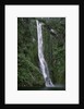 Waterfall on Milford Sound by Anonymous