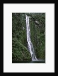 Waterfall on Milford Sound by Anonymous