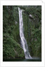 Waterfall on Milford Sound by Anonymous