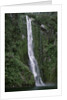Waterfall on Milford Sound by Anonymous