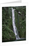 Waterfall on Milford Sound by Anonymous