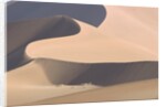 View of sand dunes in a desert by Anonymous