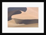 View of sand dunes in a desert by Anonymous