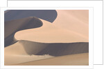 View of sand dunes in a desert by Anonymous