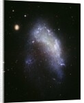 Galaxy NGC 1427A Plunges Toward the Fornax Galaxy Cluster by Anonymous