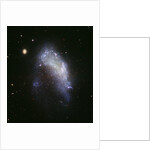 Galaxy NGC 1427A Plunges Toward the Fornax Galaxy Cluster by Anonymous