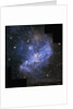 Young Stars in Small Magellanic Cloud by Anonymous