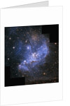Young Stars in Small Magellanic Cloud by Anonymous