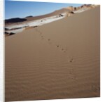 View of footprints leading over a sand dune by Anonymous