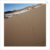 View of footprints leading over a sand dune by Anonymous