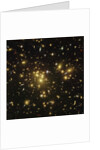 Gravitational Lens of a Galaxy Cluster by Anonymous