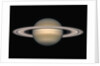 Saturn by Anonymous
