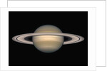 Saturn by Anonymous