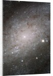 Core of Galaxy NGC 300 by Anonymous