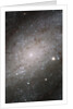 Core of Galaxy NGC 300 by Anonymous