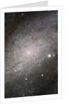 Core of Galaxy NGC 300 by Anonymous