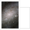 Core of Galaxy NGC 300 by Anonymous