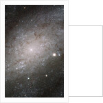 Core of Galaxy NGC 300 by Anonymous