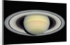 Saturn by Anonymous