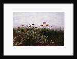 Flowers on the Irish Coast by Andrew Nicholl