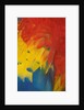 Scarlet Macaw Feathers by Anonymous