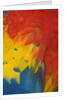 Scarlet Macaw Feathers by Anonymous