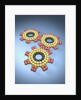 Gears Composed of Molecules by Anonymous