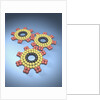 Gears Composed of Molecules by Anonymous