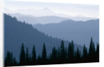 Fog in Cascade Range by Anonymous