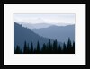 Fog in Cascade Range by Anonymous