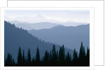 Fog in Cascade Range by Anonymous