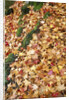 Leaves in Fall Color in Park by Anonymous
