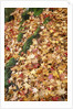Leaves in Fall Color in Park by Anonymous