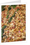 Leaves in Fall Color in Park by Anonymous