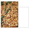 Leaves in Fall Color in Park by Anonymous