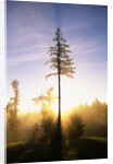 Fog at Sunrise by Anonymous