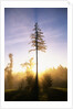 Fog at Sunrise by Anonymous
