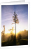 Fog at Sunrise by Anonymous