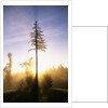 Fog at Sunrise by Anonymous