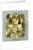 The Golden Hue Diamond by Anonymous