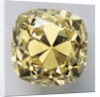 The Mahal Diamond by Anonymous