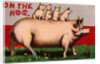 On the Hog Postcard by Anonymous