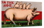 On the Hog Postcard by Anonymous