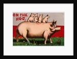 On the Hog Postcard by Anonymous