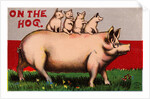 On the Hog Postcard by Anonymous